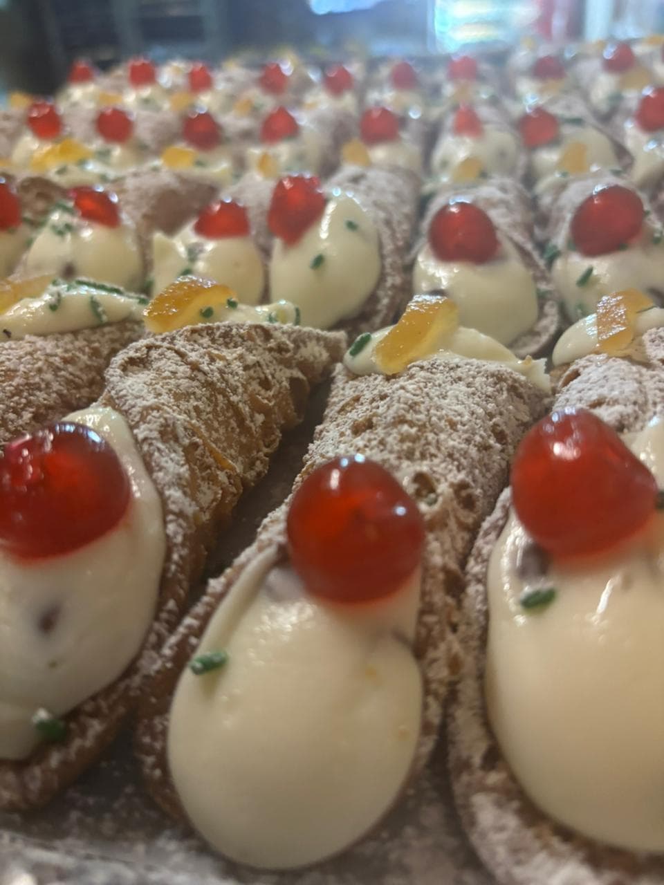 Fresh Cannoli
