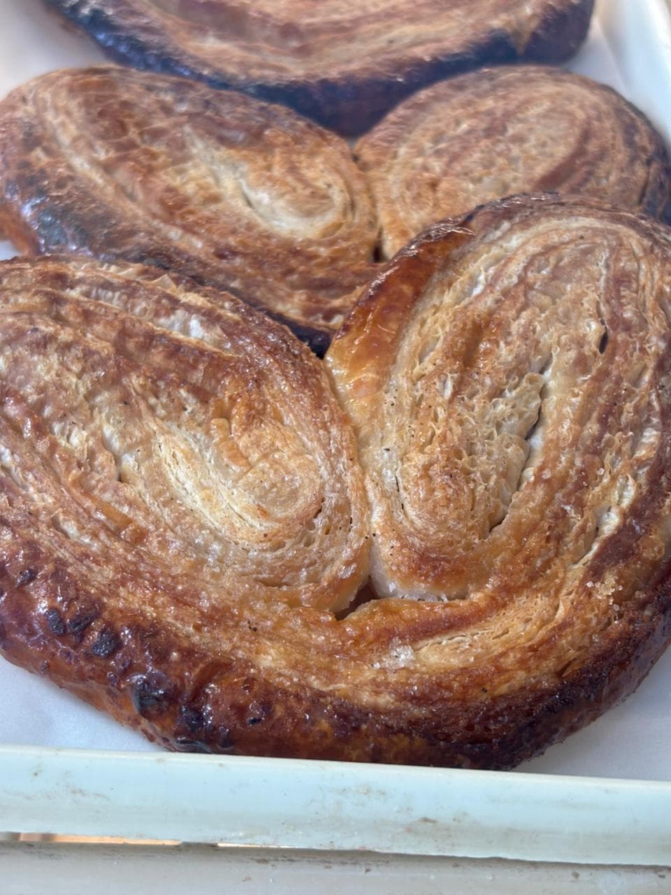 Palmier elephant-ear puff pastries