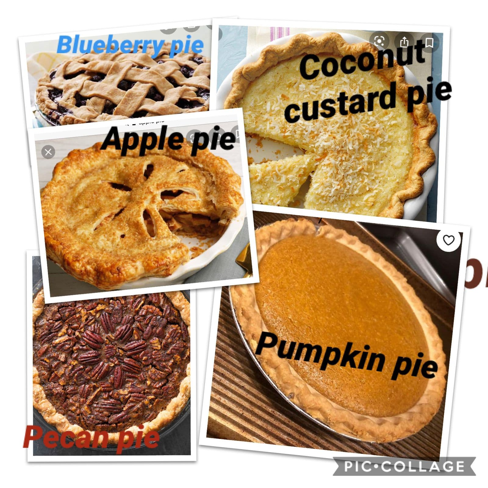 Apple, blueberry, coconut custard, and pumpkin pies