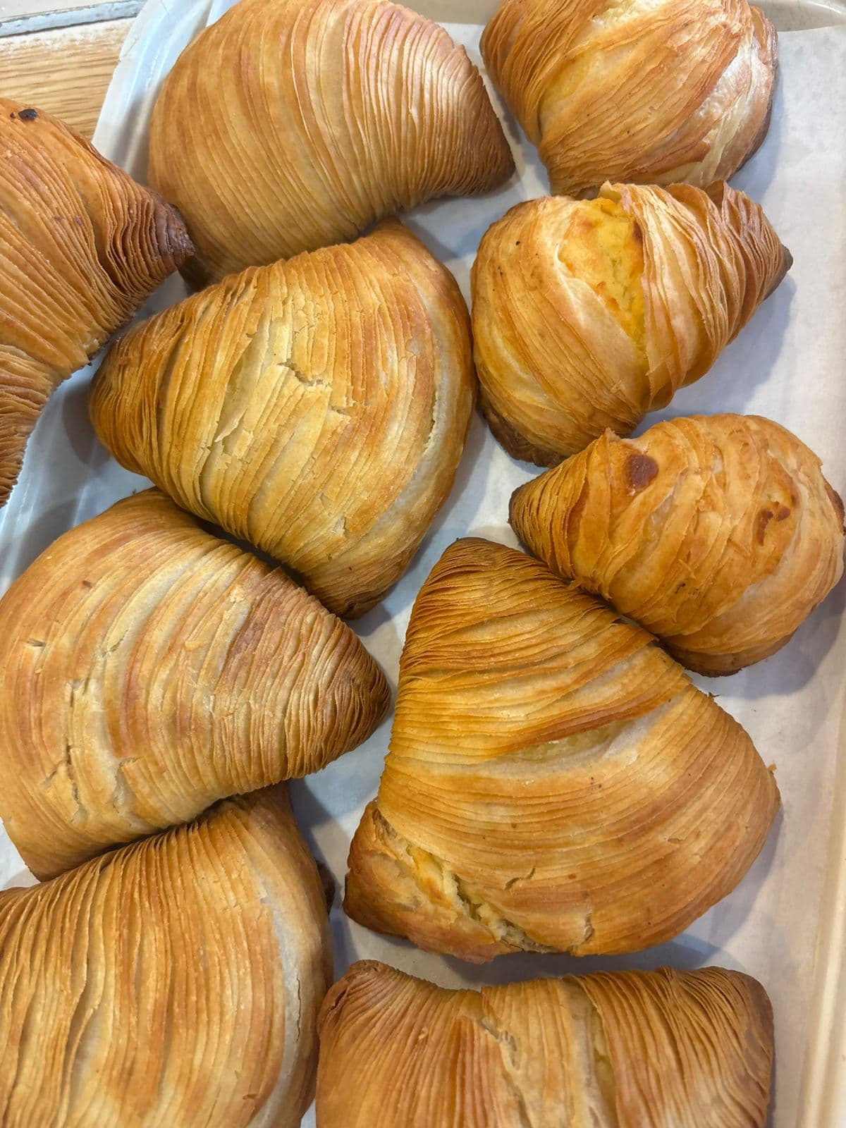 sfogliatella