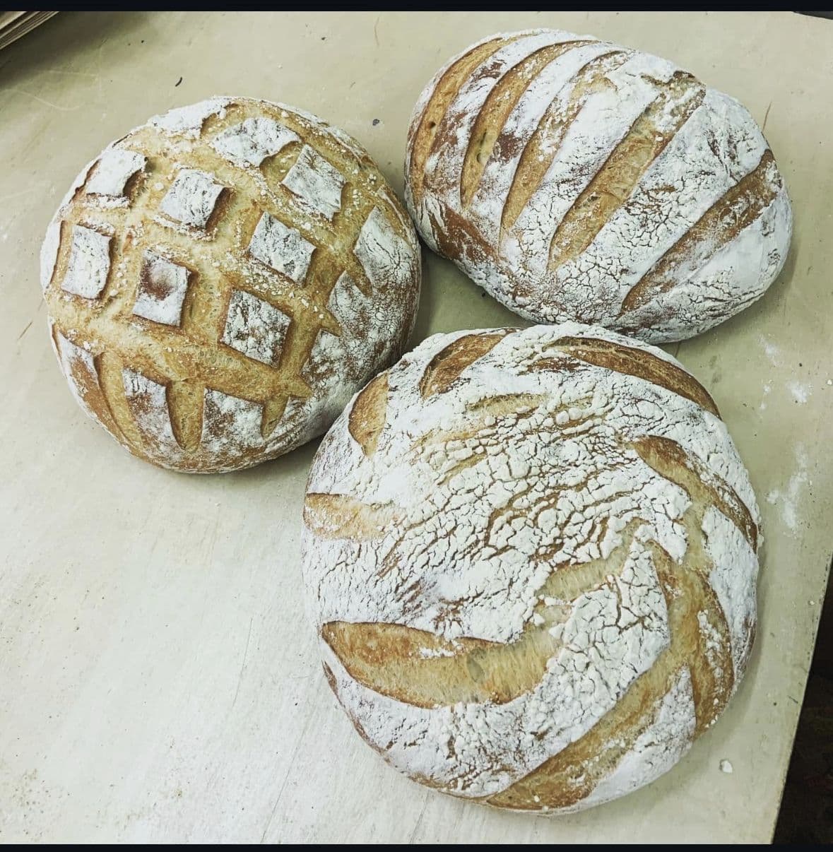 Round scored sourdough boules dusted with flour